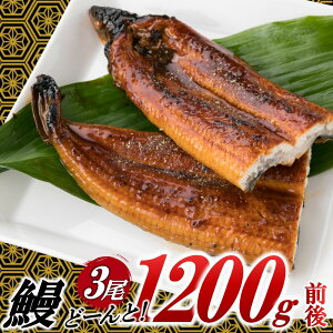 yӂ邳Ɣ[ŁzȂ̊3iv1,000g`1,200gOjy1`2Oł͂IIzDV  R