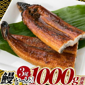 【ふるさと納税】《7/26丑の日までにお届け！！》うなぎの蒲焼3尾（計1,000g〜1,200g前後）.鰻 たれ 山椒