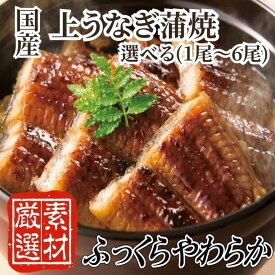 【ふるさと納税】【国内産】上うなぎ蒲焼『1〜2ヶ月前後でお届け！！』（選べる尾数）