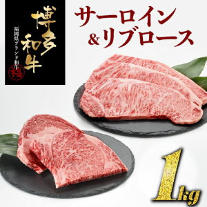 yӂ邳Ɣ[ŁzaT[Cu[XZbgiv1Ljyaz Xe[L Y јa 1kg.D390
