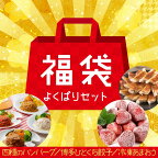 新宮町福袋【よくばりセット】 ハンバーグ4種 一口餃子 冷凍 あまおう 詰め合わせ .AB239