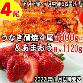 楽天市場 いちごの王様の通販 楽天市場 いちごの王様の通販