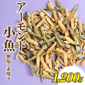 yӂ邳Ɣ[ŁzIEfẴA[h1,200gyNIIIz  ܂ JVE ibc  `bNt.AB454