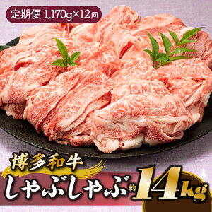 【ふるさと納税】博多和牛しゃぶしゃぶ(定期便:全12回).K038