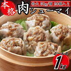 【レンジで簡単！】本格特大肉シューマイ20個（50g×20個）.ZG151