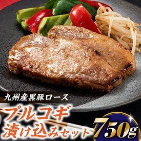 【ふるさと納税】九州産黒豚ロースプルコギ漬け込みセット（750g）国産 豚肉 韓国風 焼肉 おかず.A1449