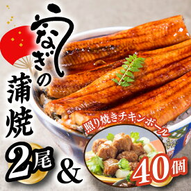 【ふるさと納税】うなぎの蒲焼2尾＆照り焼きチキンボール40個【新宮町Bセット】.A1439