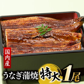 【ふるさと納税】【国内産】【有頭】うなぎ蒲焼 (特大) 1尾 ＜計250g前後＞『1〜2ヶ月前後でお届け！！』 鰻 たれ 山椒 .AB292