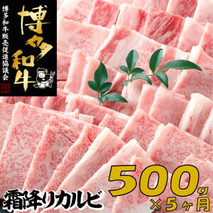 yӂ邳Ɣ[ŁzyazA4EA5ܑ~Jrē500g×5.E131