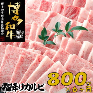 yӂ邳Ɣ[ŁzyazA4EA5ܑ~Jrē800g×6.J079