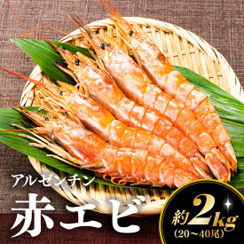 【ふるさと納税】【お刺身用】赤海老 アルゼンチン赤海老 2キロ 約20尾〜40尾 生食可能 刺身 バーベキュー 海鮮 有頭 特大．AE098