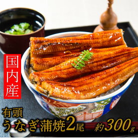 【ふるさと納税】【国内産】【有頭】うなぎ蒲焼2尾 ＜計300g前後＞『1〜2ヶ月前後でお届け！！』 鰻 たれ 山椒．A1423