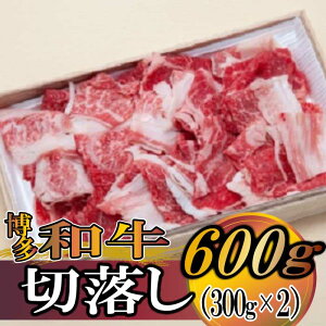 【ふるさと納税】博多和牛切落し600g(300g×2).B276
