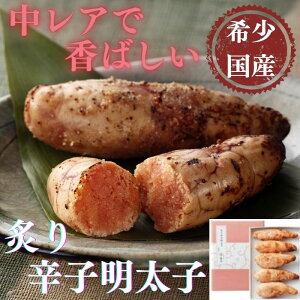 yӂ邳Ɣ[Łzy󏭍YzkCYߊCqgpEthqq240gi120g×2j.AE183