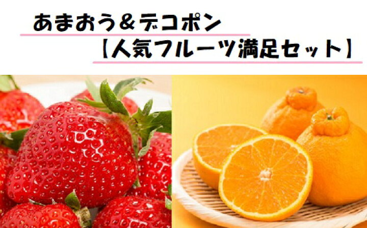 楽天市場 ふるさと納税 あまおう デコポン 人気フルーツ満足セット ２０２３年２月 ３月配送予定 いちご 苺 不知火 旬 季節 果物 A635 福岡県新宮町