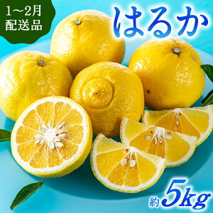 yӂ邳Ɣ[ŁzkE͂邩^5kg(2026N1`2\)k ݂ { t[c.AA090