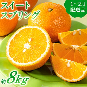 yӂ邳Ɣ[Łzy\tEԌ菤izkEXC[gXvO^8kg(2026N1`2z\j݂ t[c { G ʕ.AA091