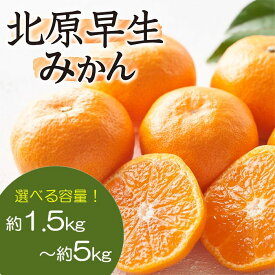 【ふるさと納税】【予約受付・期間限定商品】北原早生みかん（1.5kg～5kg程度）2026年10月〜11月配送（選べる容量）