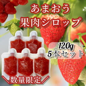 【ふるさと納税】あまおう果肉シロップ【あまおう】.ZI139