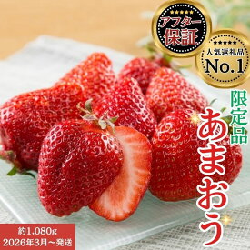 【ふるさと納税】人気1位獲得謝礼品★限定品★あまおう約1，080g いちご 苺　福岡（先行受付／2026年3月以降発送） 高級 フルーツ.A1609【あまおう】