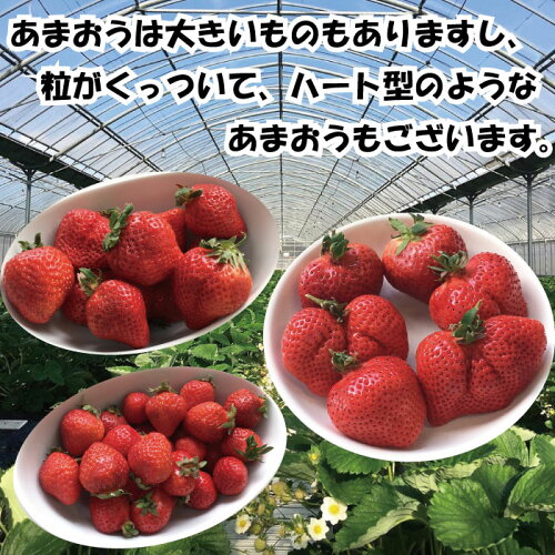 アイテムID:667888の画像5枚目