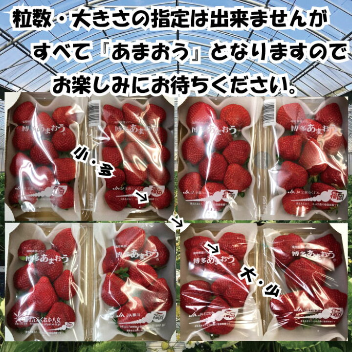 楽天市場】【ふるさと納税】人気No.1獲得謝礼品☆限定品☆博多あまおう約1,120g いちご 苺 福岡(先行受付/2023年1月以降発送) 高級 フルーツ : 福岡県新宮町 楽天市場】【ふるさと納税】人気No.1獲得謝礼品☆限定品☆博多あまおう約1,120g いちご 苺 福岡(先行受付/2023年1月以降発送) 高級 フルーツ : 福岡県新宮町