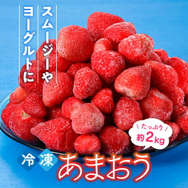 【ふるさと納税】【数量限定】冷凍あまおう(いちご)約2kg 苺 福岡 フルーツ .AB258