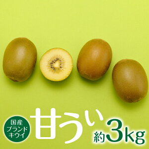 yӂ邳Ɣ[ŁzBEt[c蒼.lC̐VuhLECt[ciÂj3kg^2025N11z  e N r^~C { ʕyÂz .AB135