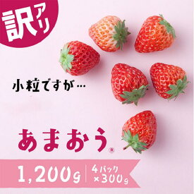 【ふるさと納税】【訳あり.限定品】あまおう.小粒ですが約1200g（先行受付．2026年1月以降発送） いちご 苺 高級 フルーツ【あまおう】.AB380