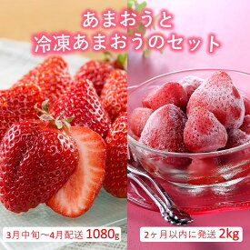 【ふるさと納税】あまおう約1,080gと冷凍あまおう約2kgのセット【あまおう】.B384