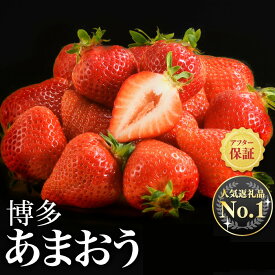 【ふるさと納税】人気1位獲得謝礼品★限定品★博多あまおう約540g～1，080g いちご 苺　福岡（先行受付／2027年2月以降発送） 高級 フルーツ【あまおう】