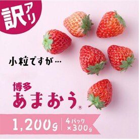 【ふるさと納税】【訳あり.限定品】博多あまおう.小粒ですが約1200g（先行受付．2027年2月以降発送） いちご 苺 高級 フルーツ【あまおう】.AB380