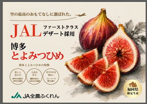 �ԗ�i�摜