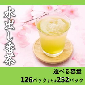 【ふるさと納税】水出し番茶（選べる容量）