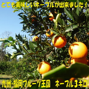 �y�ӂ邳�Ɣ[�Łz��B�E�����t���[�c����.�_�ƒ���.�l�[�u���i��3kg�j�^2026�N1���z��.AA185