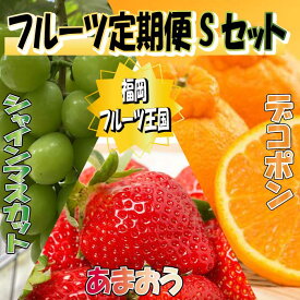 【ふるさと納税】九州・福岡フルーツ王国.旬のフルーツ定期便Sセット【あまおう】.CF026