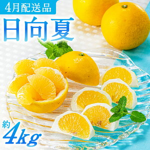 yӂ邳Ɣ[Łz킭܉ʎ́uāv4kg^2026N4\.AA098