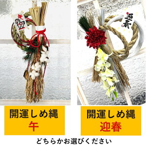 yӂ邳Ɣ[ŁzJ^ߓiIׂfUCjyʌz