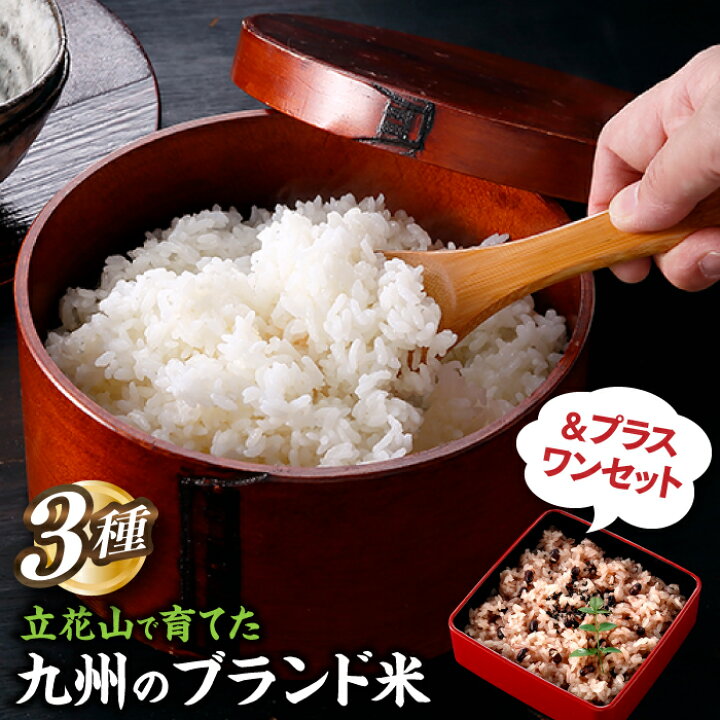 楽天市場】【ふるさと納税】立花山で育てた九州のブランド米・味くらべ 