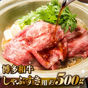 yӂ邳Ɣ[Łzy󂠂IzaԂpi500gjyaz.AB341