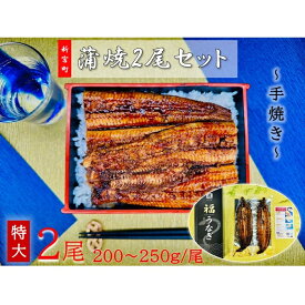 【ふるさと納税】うなぎ蒲焼2尾（計400〜500g）.AE235