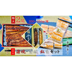 【ふるさと納税】うなぎ蒲焼とうなぎ白焼食べ比べ紅白セット.AD163