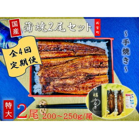 【ふるさと納税】【全4回定期便】国産うなぎ蒲焼2尾（計400〜500g）.H050