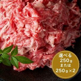 【ふるさと納税】訳あり！博多和牛A4～A5ランク切り落とし（選べる容量）【博多和牛】