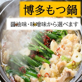 【ふるさと納税】訳あり！博多もつ鍋10人前（2人前×5セット）（選べる種類）【もつ鍋・醤油味】【もつ鍋・味噌味】