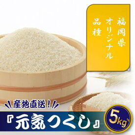 【ふるさと納税】特Aも獲得した自慢のお米『元気つくし』5kg 国産 白米 精米 ご飯【元気つくし】.AB581