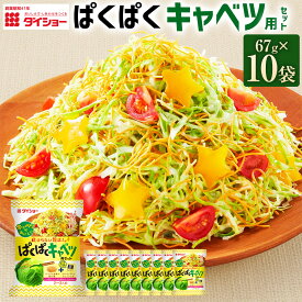 【ふるさと納税】ぱくぱくキャベツ用セット 計670g（67g×10袋） 揚げ麺 油揚げめん スイートコーン クリームチーズ クリーミー ドレッシング サラダ 野菜 調味料 福岡県産 国産 福岡県 久山町 送料無料