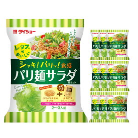 【ふるさと納税】レタスがおいしいパリ麺サラダ 計950g（95g×10袋） 焙煎ごまドレッシング付き 野菜 やさい 揚げ麺 油揚げめん サラダ 惣菜 おかず 福岡県 久山町 送料無料