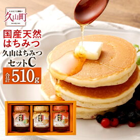 【ふるさと納税】久山はちみつ セット C 3種セット 合計510g 里の蜜 170g 森の蜜 170g 生ローヤルゼリー2g入添加蜂蜜 170g A-50 国産 蜂蜜 はちみつ 天然 糖度77度以上 生ローヤルゼリー 日本製 お取り寄せ 調味料 ギフト 福岡県 久山町 送料無料