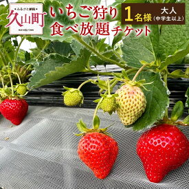 【ふるさと納税】いちご狩り 食べ放題チケット 60分 大人(中学生以上) 【1名様】 苺 イチゴ 高設栽培 体験 フルーツ狩り 果物狩り 利用券 チケット 九州 福岡 やすこうち農園 送料無料10000円 1万円